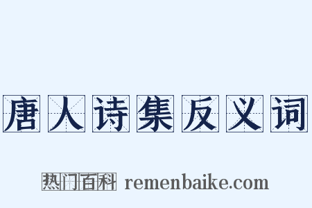 唐人诗集反义词是什么意思的图片